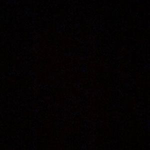 Meet your Posher, Daisy